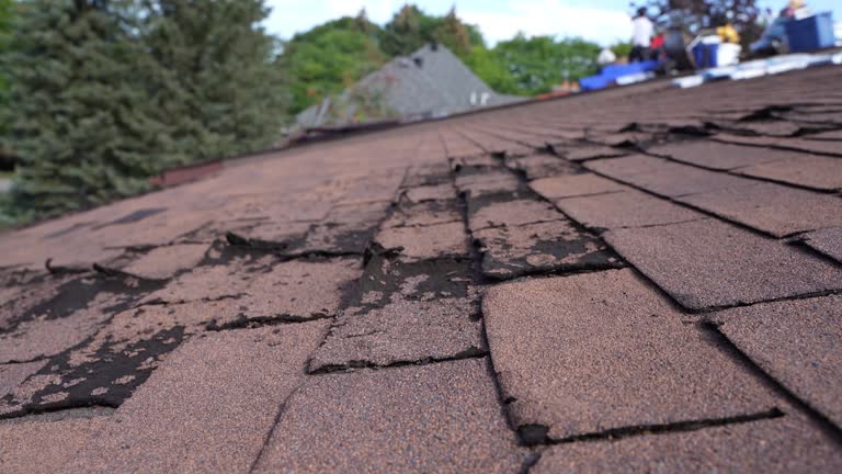 Trusted Highland Falls, NY Roofing Service Experts